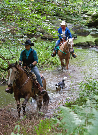 Lkrs Rgb Reiter bei Brennberg, H�lle 1