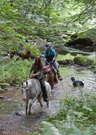 Lkrs Rgb Reiter bei Brennberg, H�lle 2