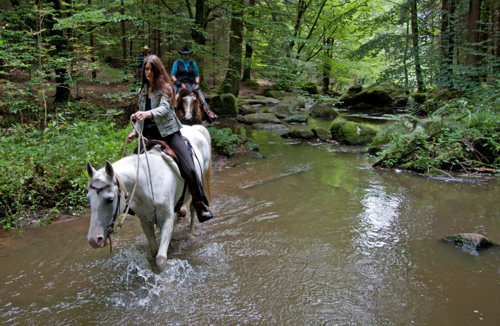 Lkrs Rgb Reiter bei Brennberg, H�lle 3