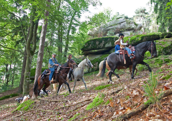 Lkrs Rgb Reiter bei Frankenberg 1