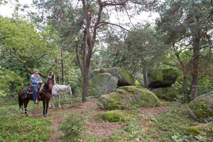 Lkrs Rgb Reiter bei Frankenberg 3