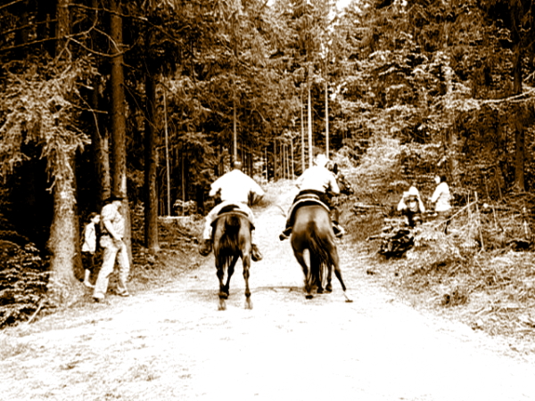 Ziegen Pferderennen Goya 080