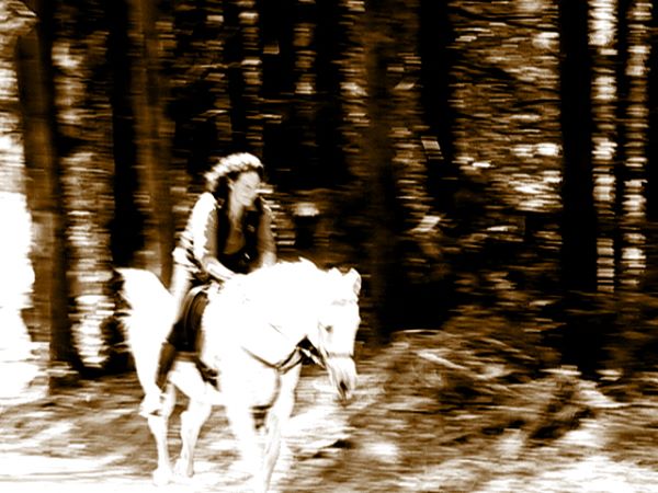 Ziegen Pferderennen Goya 084