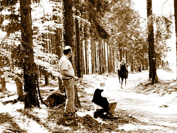 Ziegen Pferderennen Goya 086