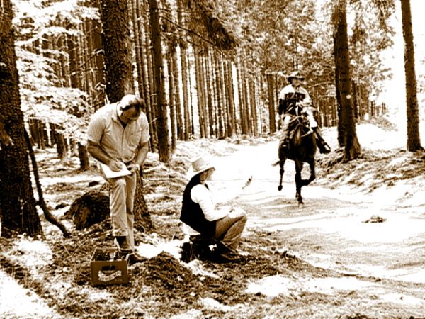 Ziegen Pferderennen Goya 087