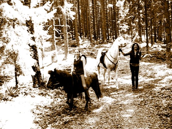 Ziegen Pferderennen Goya 088