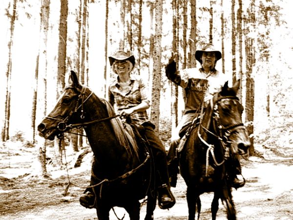 Ziegen Pferderennen Goya 089