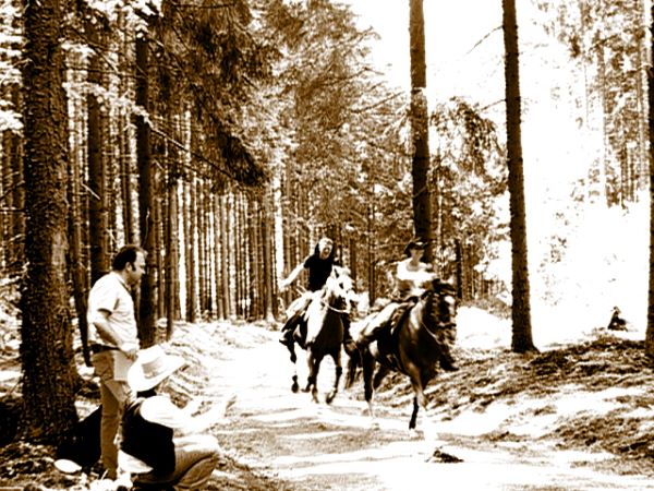 Ziegen Pferderennen Goya 090