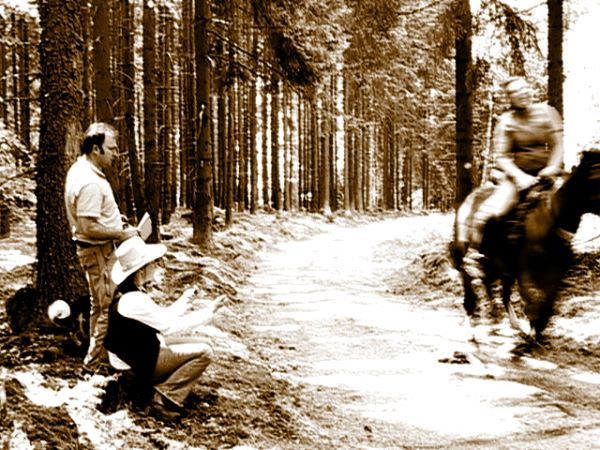 Ziegen Pferderennen Goya 091