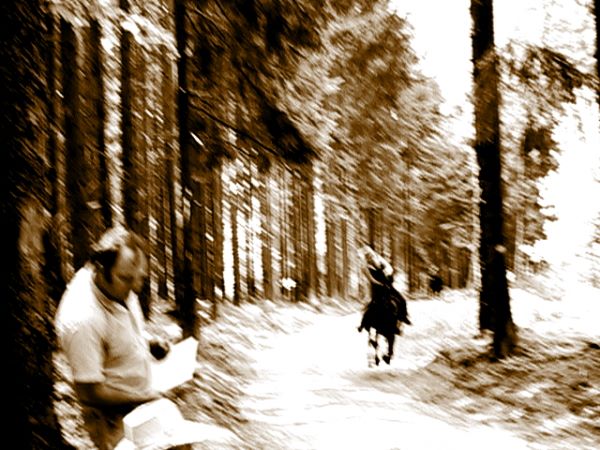 Ziegen Pferderennen Goya 092