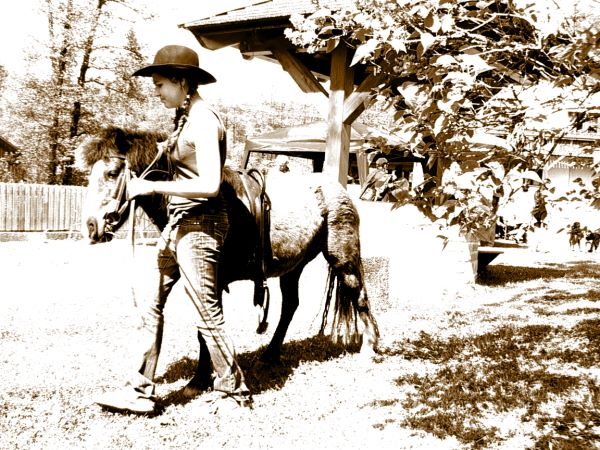 Ziegen Pferderennen Goya 098