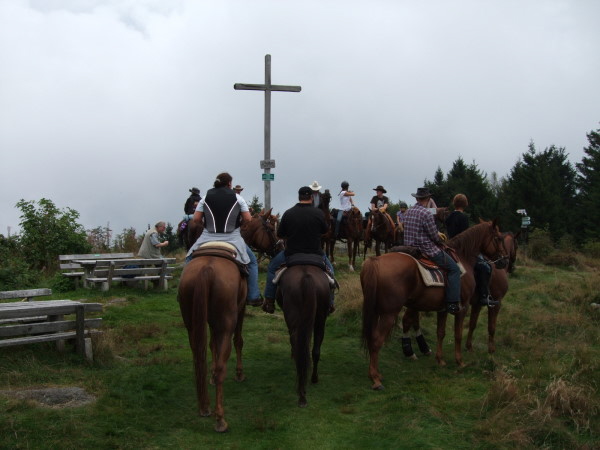 2009_0613Hunding090050