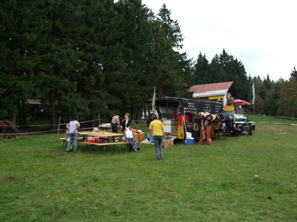 2009_0613Hunding090061
