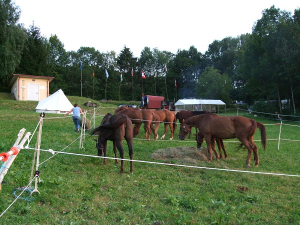 2009_0613Hunding090094