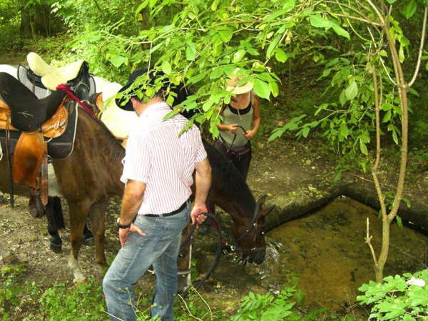 mitten im Wald eine Quelle