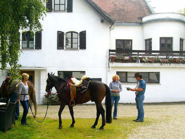 Lagebesprechung mit Andrea