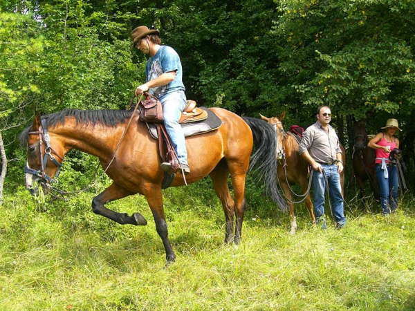 Dressurvorf�hrung alias Hias