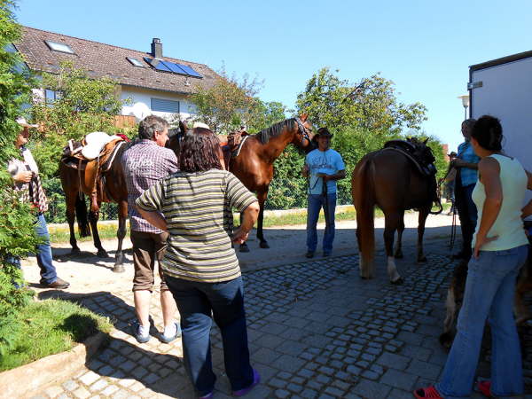 Abschied vom Hattenhof