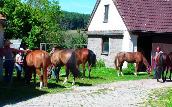 Leider alles vorbei :-(