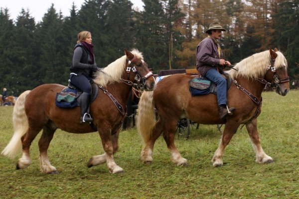 Leonhardiritt 2009 (28)