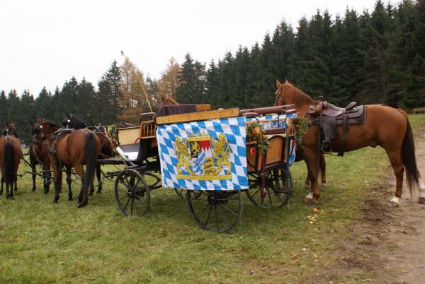 Leonhardiritt 2009 (6)